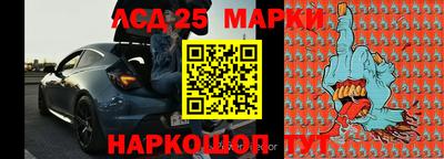 гидропоника Новозыбков