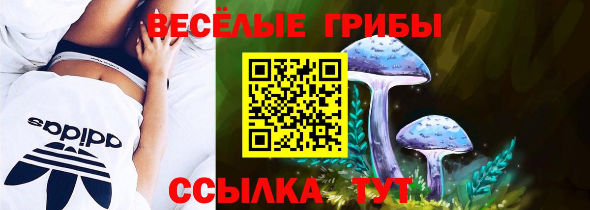 Псилоцибиновые грибы ЛСД Ростов-на-Дону